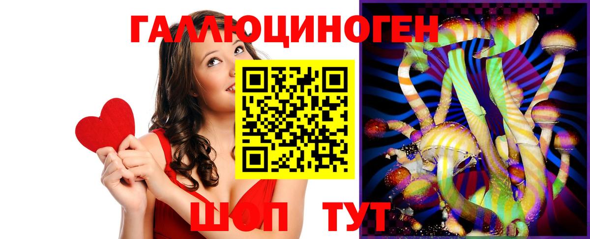 Шарыпово  Галлюциногенные грибы Psilocybe  Вход с VPN 